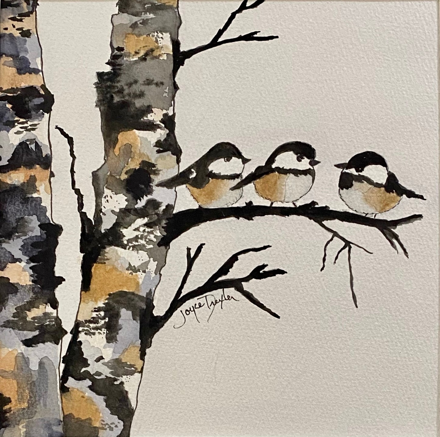 Birch Trees with 3 Chickadees