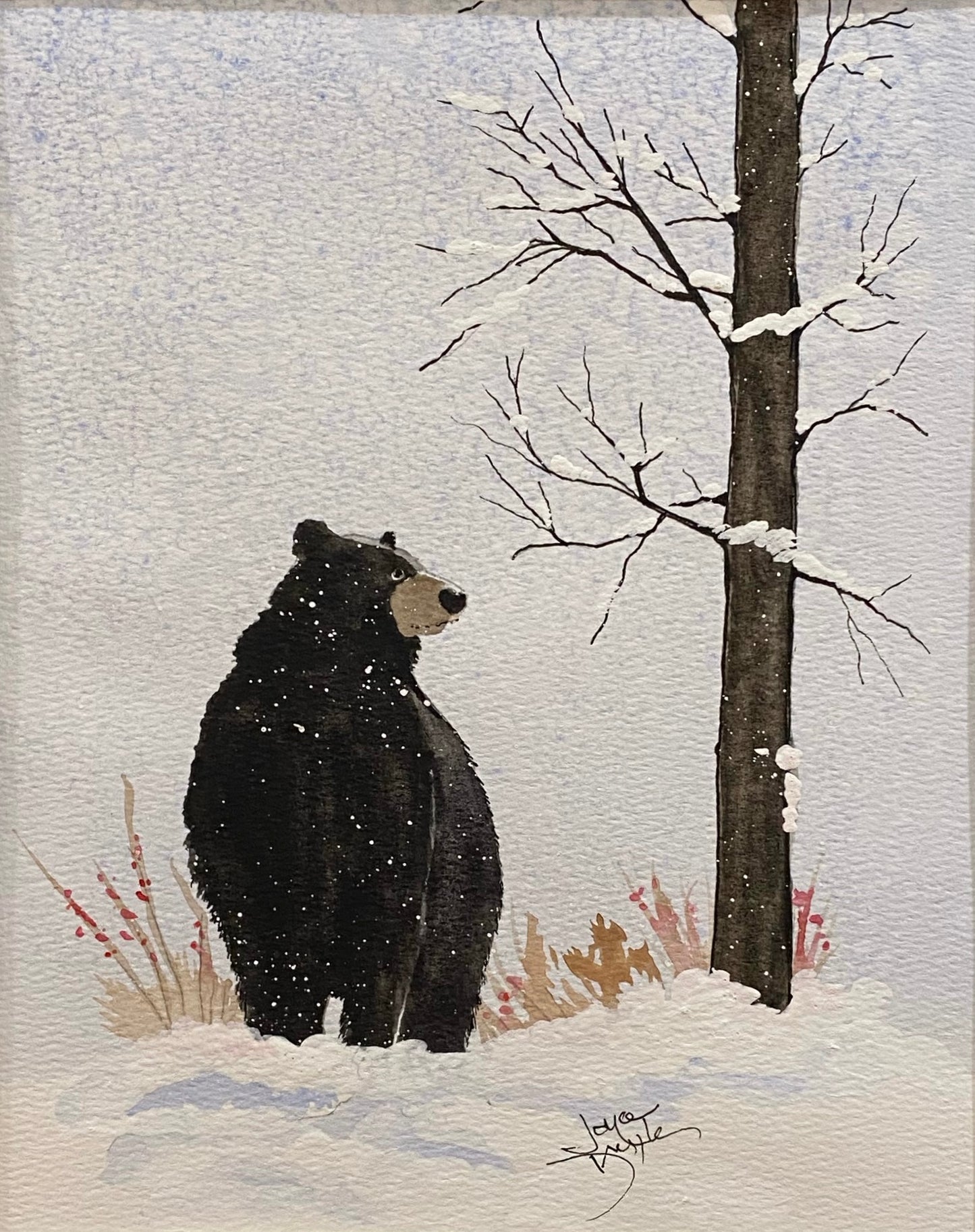 Bear In the Snow