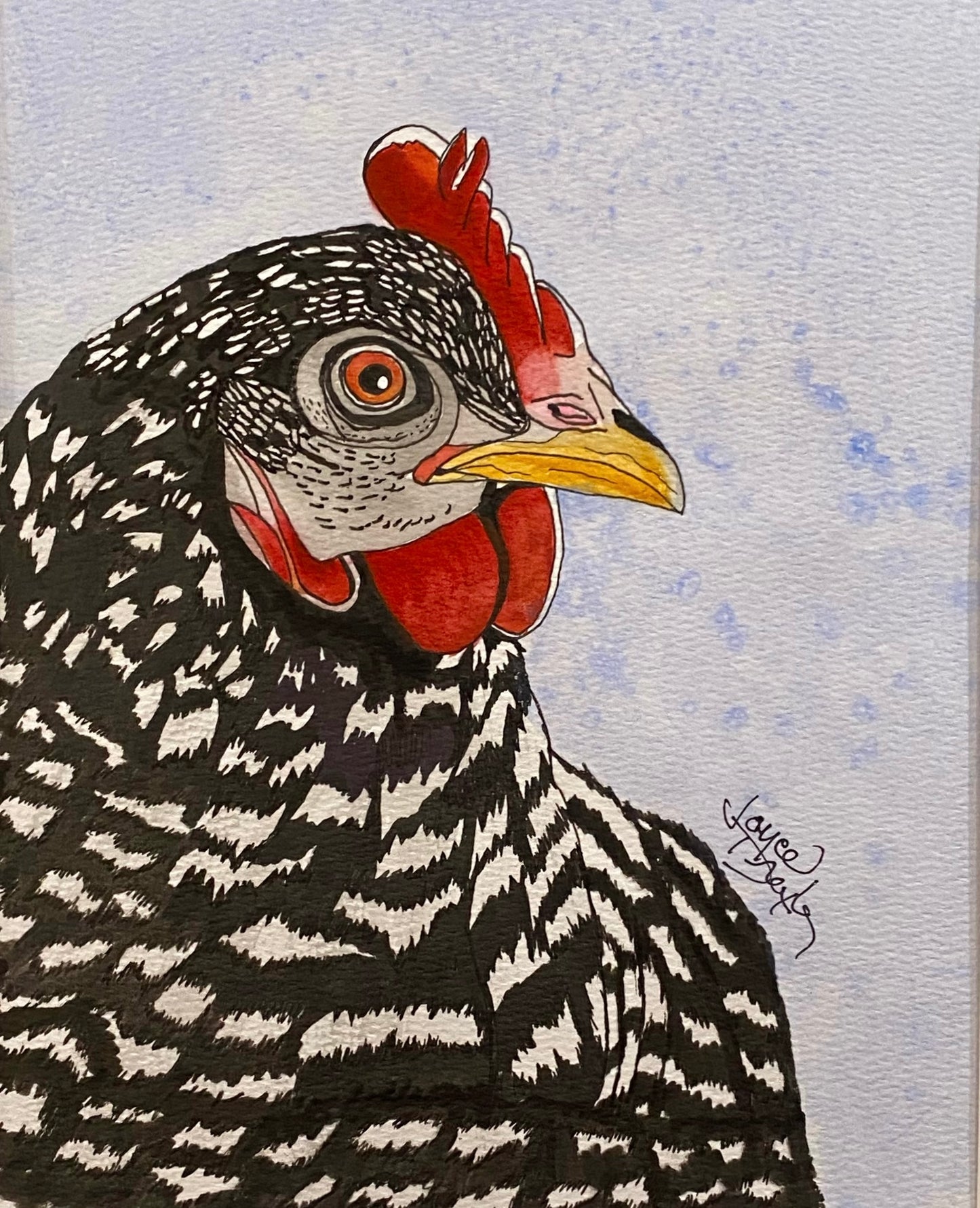 Black And White Hen