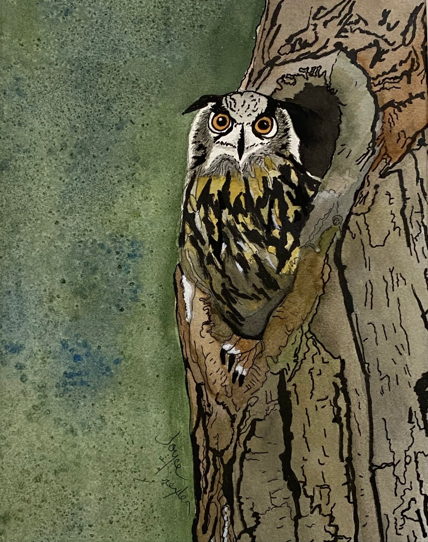 Owl In The Tree