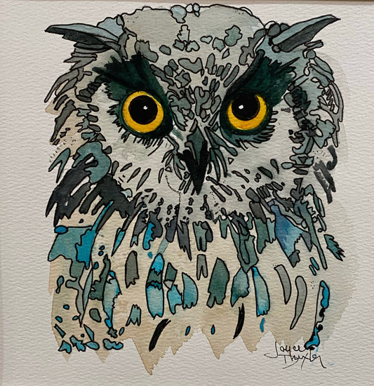 Aqua Owl