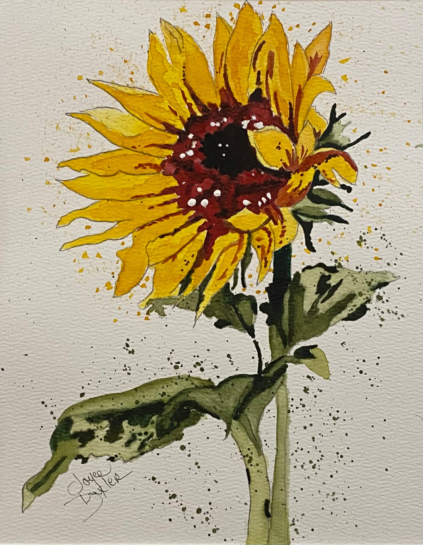 Sunflower